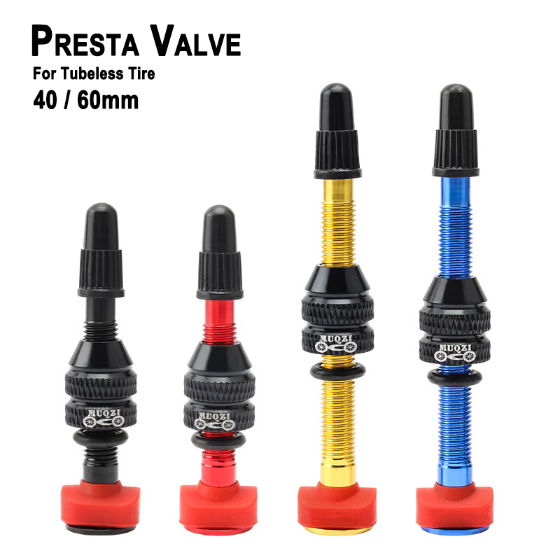 Katup Presta Sepeda Gunung MTB - Mountain Biking In French ulasan dan harga
