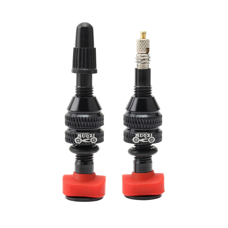 Katup Presta Sepeda Gunung MTB - Mountain Biking In French ulasan dan harga