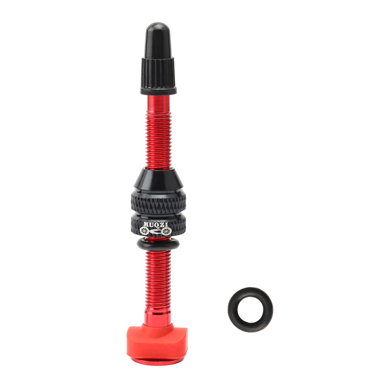 Katup Presta Sepeda Gunung MTB - Mountain Biking In French ulasan dan harga