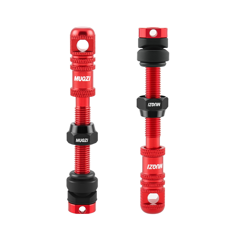 Katup Presta Tubeless Sepeda A - Mountain Biking In French ulasan dan harga